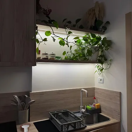 Vlora Studio Vlorë